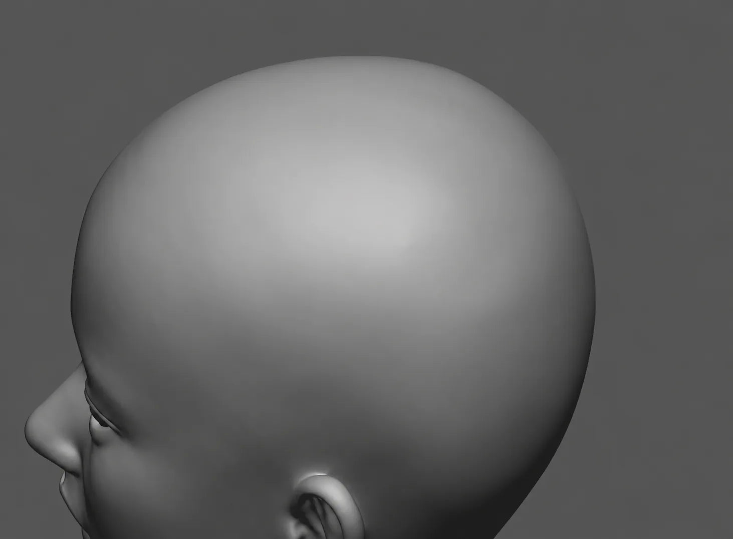 Crown and rear head contour study for a custom Feifei face skin