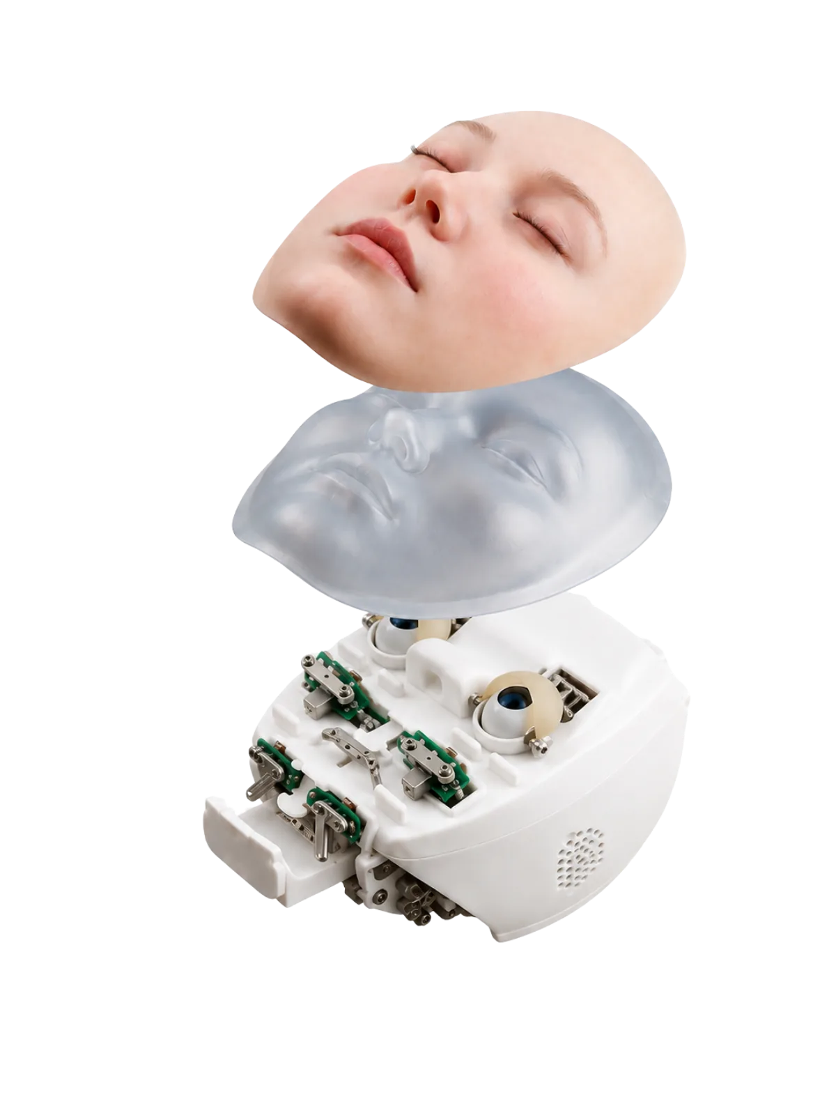 Exploded view of the Jinsan Feifei smart head